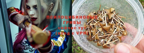 СК Аркадак