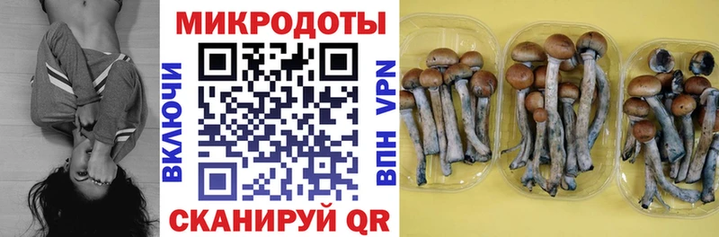 Купить закладки  Вихоревка  Галлюциногенные грибы ЛСД 
